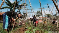 Jika sudah dianggap membaik, proses pemulihan selanjutnya dilakukan dengan pekerjaan seperti berkebun, memasak, mencuci dan menjemur pakaian. Terapi ini dilakukan rata-rata selama 6 bulan hingga pasien sembuh.