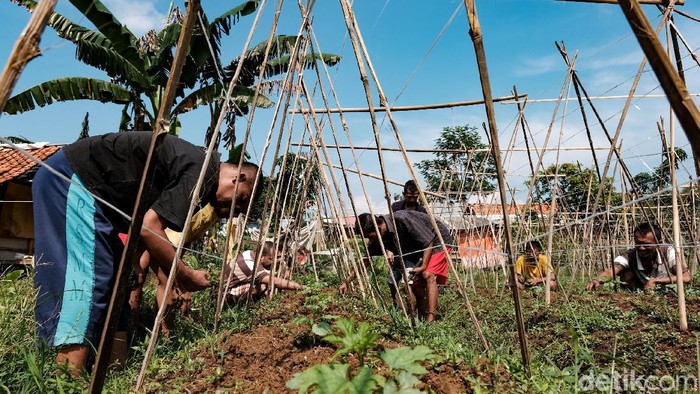 Orang dengan gangguan jiwa (ODGJ) kerap mendapat stigma negatif di masyarakat. Padahal, ODGJ juga manusia biasa yang bisa sembuh melalui proses pemulihan. Seperti apa caranya?