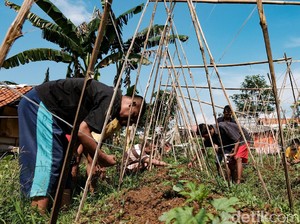 ODGJ Adalah: Gejala, Penyebab, dan Penanganan yang Tepat