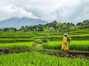 Disebut Kampung Janda, Warga: Penghinaan!