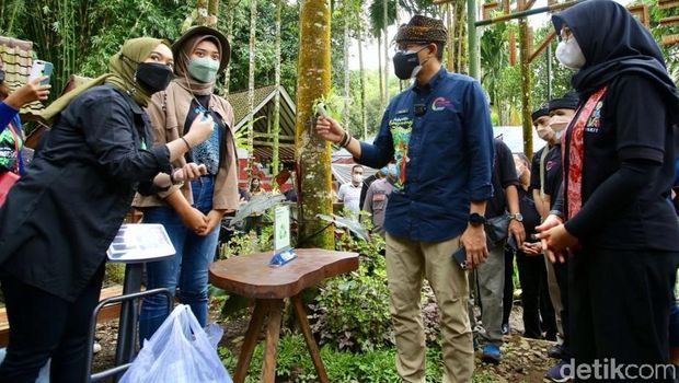 Ke Desa Wisata, Menteri Sandi Yakin Wisata Banyuwangi Bangkit Ke Desa Wisata, Menteri Sandi Yakin Wisata Banyuwangi Bangkit
