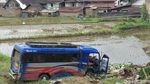 Potret Mobil Terjun ke Kolam-Sawah Usai Ditabrak Truk Rem Blong