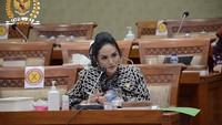 Krisdayanti saat sidang di DPR. Foto: Instagram Krisdayanti