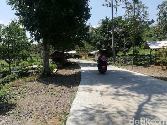 Menikmati Sensasi Alam di Warung Perkebunan Teh Sumedang
