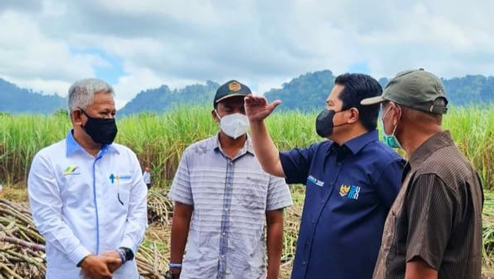 Menteri BUMN Erick Thohir kunjungi PTPN XII