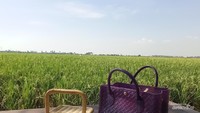 Sensasi makan sambil memandang hamparan sawah. Jika merasa lapar, traveller bisa menikmati berbagai macam kuliner yang telah disediakan.