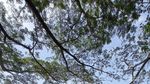Serasa Main ke Rumah Nenek, Nyantai di Tepi Sawah