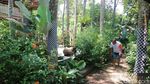 Foto: Wisata Ala Kampung Bali di Jepara