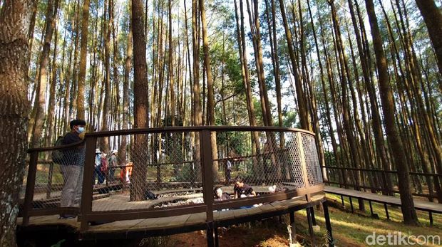 Terapkan Aturan Ganjil Genap, Pinus Sari Bantul Sepi Pengunjung