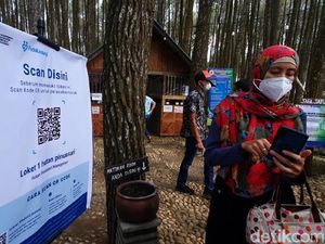 Terapkan Aturan Ganjil Genap, Wisata Pinus Sari Bantul Sepi Pengunjung