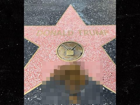 Walk of Fame Donald Trump