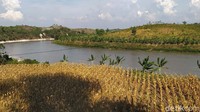 Sebab pembangunan bendungan ini akan berdampak pada 5 desa di sekitar proyek. Yakni desa Mendenrejo, Ngrawoh, Nginggil, Ngkebak dan Megeri.