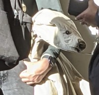 fotoinet membingungkan pikiran dan mata