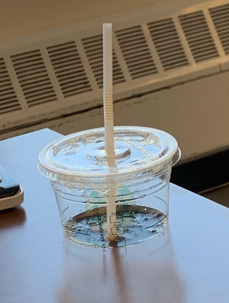 fotoinet membingungkan pikiran dan mata