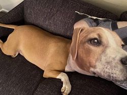 Kumpulan Foto Unik yang Sulit Dicerna Otak