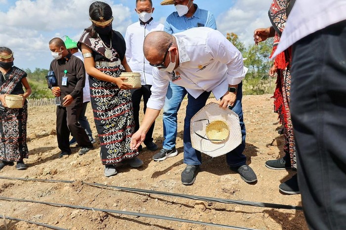 LaNyalla mengatakan impor jagung bukan solusi tekan harga jagung.