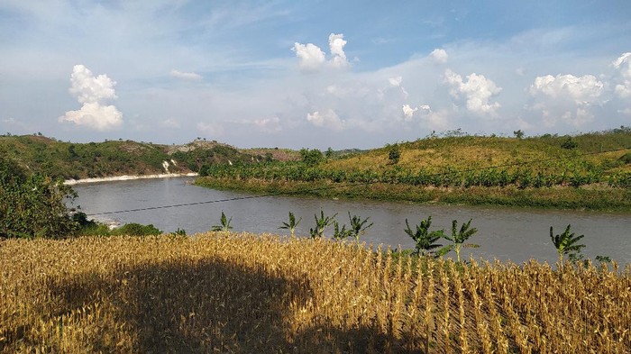 Lokasi proyek Bendung Gerak Karangnongko