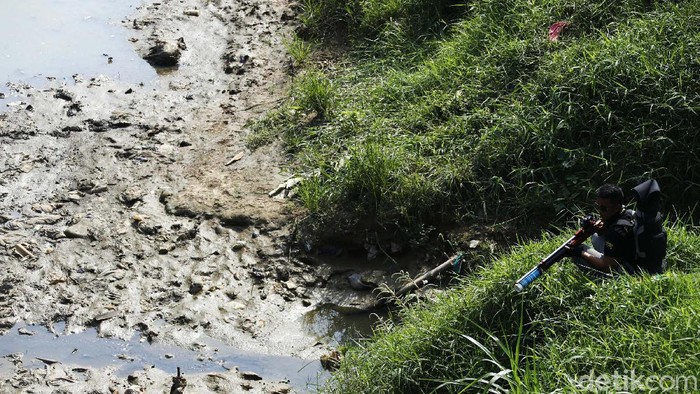 Menembak Ikan Bak Berburu Hewan di Hutan Kini menagkap ikan tidak harus dengan kail atau pancingan. Orang-orang ini menangkap ikan dengan senapan angin bak berburu hewan di hutan.