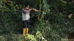 Menembak Ikan Bak Berburu Hewan di Hutan