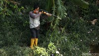 Berbagai cara yang dilakukan untuk mendapatkan ikan di aliran Kali Bekasi, salah satunya dengan menembak menggunakan senapan angin.