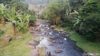 Menurut warga Babi liar terkadang terlihat di lokasi ini.