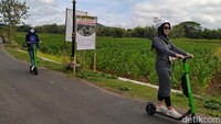 Selain bisa naik andong, mobil VW maupun sepeda, mengelilingi desa-desa cantik di sekitar candi Borobudur sekarang bisa dengan moda transportasi yang tengah ngehits, yakni naik skuter elektrik. (Eko Susanto/detikTravel)