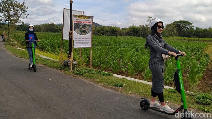 Keliling menikmati keindahan desa-desa di sekitar Candi Borobudur, Magelang, Jawa Tengah, bisa naik andong, mobil VW maupun sepeda. Naik skuter juga bisa.