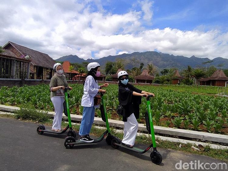 Yang Lagi Ngehits di Magelang: Keliling Borobudur Naik Skuter