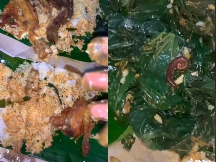 Nasi Padang ada uler kaki seribu Hiii! Wanita Ini Temukan Kaki Seribu di dalam Bungkus Nasi Padang