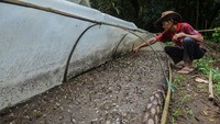 Hal itulah yang membuat dua sahabat, Real Ogi dan Pedro Pangemanan tergerak untuk mengembangkan kopi dari daerahnya itu agar lebih dikenal di luar daerah. Ogi yang sempat beberapa tahun tinggal di Jakarta merasakan sulitnya menemukan kopi kampung halamannya di tanah rantau.  