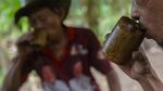 Primadona Baru Kopi Nusantara