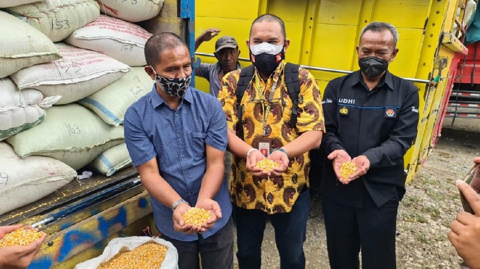 Akhirnya Suroto Terima Bantuan Jagung Langsung dari Presiden Jokowi