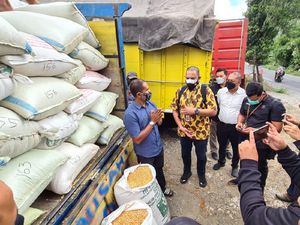 Wujud Bantuan 20 Ton Jagung dari Jokowi untuk Peternak Ayam Suroto