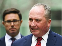Video: Momen Politikus Australia Memarahi Anjing Terekam Live di TV