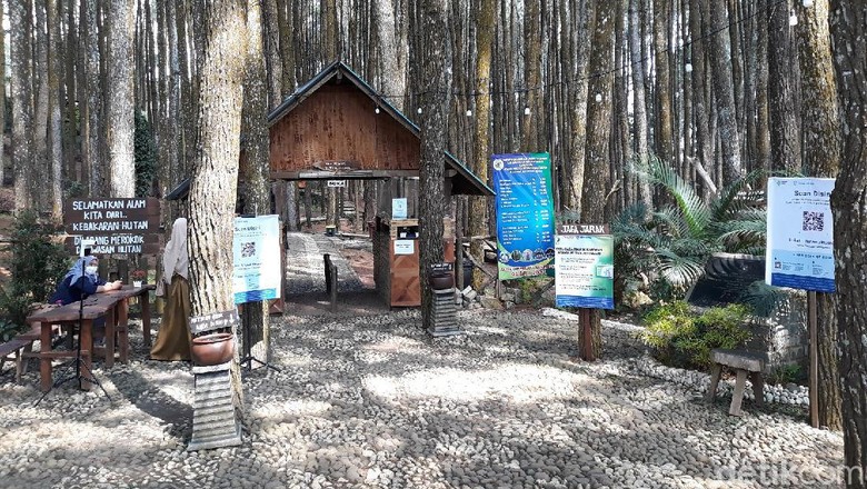 Anak-anak memberi makan burung di Hutan Pinus Sari Mangunan