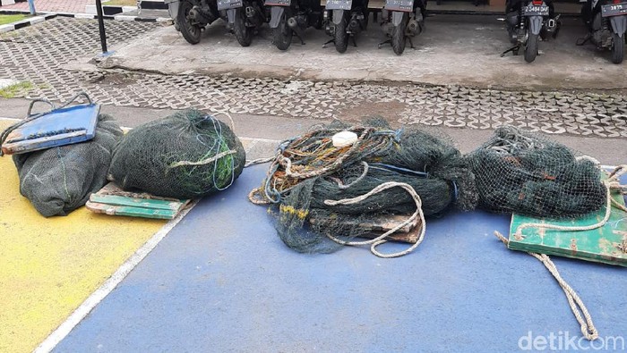 Sebanyak 48 kasus illegal fishing terungkap di Jatim mulai Januari hingga Agustus 2021. Dalam kasus ini, ada 48 pelaku yang diamankan.