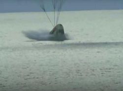 Detik-detik 4 Astronaut Amatir SpaceX Selamat Balik ke Bumi