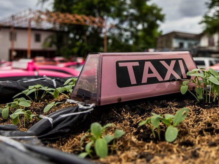 Merana Banget, Taksi-Taksi Ini Jadi Kebun Sayur gegara Tak Ada Turis