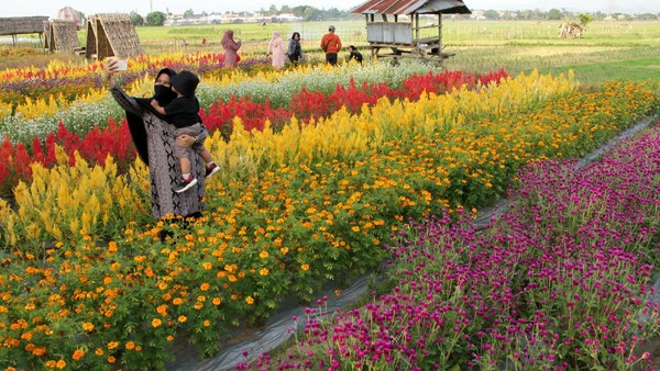 Sejumlah objek wisata di berbagai daerah Indonesia kembali dibuka untuk umum seiring dengan menurunnya level PPKM di daerah tersebut. (ANTARA FOTO/Arnas Padda)