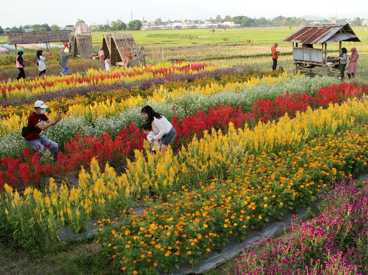 Kembali Dibuka, Objek Wisata di Bali hingga Batam Kebanjiran Pelancong