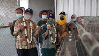 Edupark Semen Gresik dilengkapi dengan berbagai fasilitas seperti lahan pertanian holtikultura, budidaya sayur mayur dengan menggunakan sistem hidroponik dan pupuk organik, penggemukan sapi, peternakan domba, ayam petelur, burung puyuh, budidaya ikan lele dan jamur tiram serta pembuatan pupuk organik dan biogas dari kotoran hewan.
