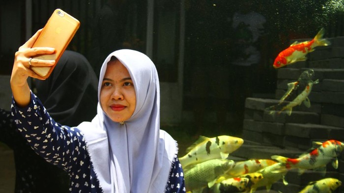 Rumah seorang pengusaha ikan di Malang jadi sorotan. Pasalnya pagar rumah tersebut berbentuk kolam yang dihiasi beragam ikan koi. Penasaran?