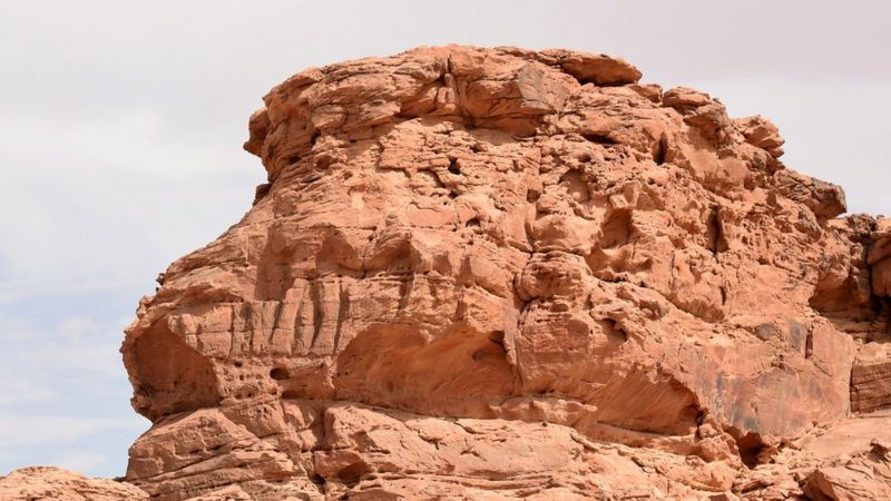 Pahatan unta tertua di dunia ada di Arab Saudi