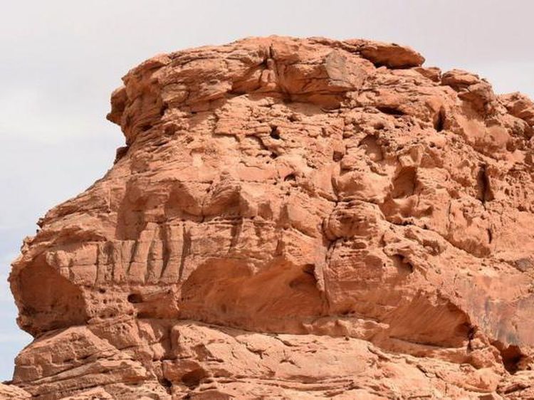 Foto Pahatan Unta Tertua Dunia, Usianya 8.000 Tahun!