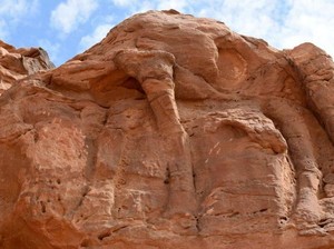 Tertua di Dunia, Pahatan Unta Ini Berumur 8.000 Tahun