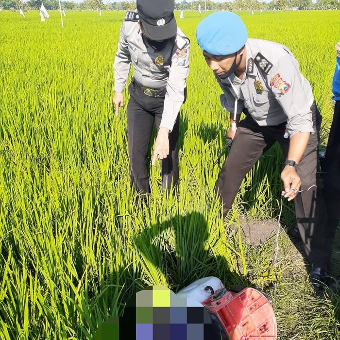 Petani di Ngawi tewas tersetrum jebakan tikus listrik. Peristiwa tersebut terjadi pagi tadi.