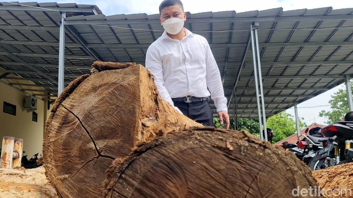 Polisi membekuk pelaku Illegal logging atau penebangan liar. Mereka beraksi di Perhutani Resort Pemangkuan Hutan (RPH) Cimahpar, Kabupaten Sukabumi.