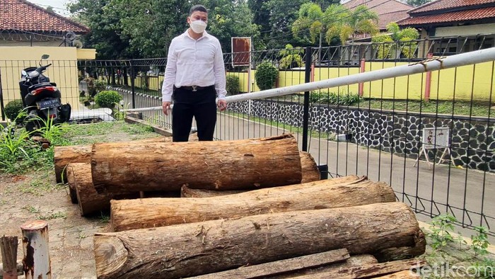 Polisi membekuk pelaku Illegal logging atau penebangan liar. Mereka beraksi di Perhutani Resort Pemangkuan Hutan (RPH) Cimahpar, Kabupaten Sukabumi.