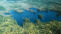 6. Pulau Sheep Lake, KanadaSumber: Vladi Private IslandsPulau Sheep Lake merupakan pulau-pulau kecil yang ditumbuhi pepohonan yang dikelilingi oleh air Sheep Lake yang jernih. Pulau ini terlihat bisa menjanjikan hidup yang tenang dan penuh kegembiraan. Sayangnya pulau ini hanya berjarak 25 mil dari desa nelayan terdekat. Mungkin itu yang membuat pulau ini tak kunjung laku meski dihargai hanya US$ 50.989.