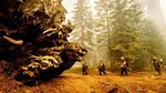 Pohon Raksasa di California Terancam Punah oleh Kebakaran Hutan